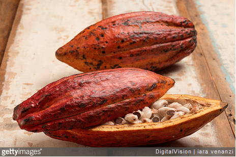 Le chocolat à travers les siècles